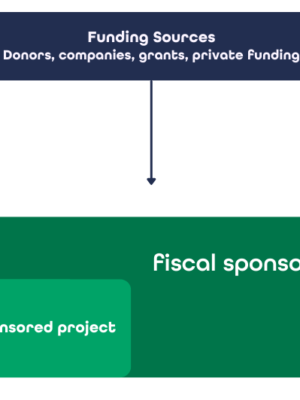 Fiscal-Sponsorship-Model-A-1